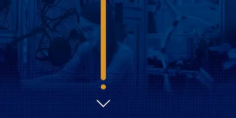 Ingeniería en Desarrollo de Software